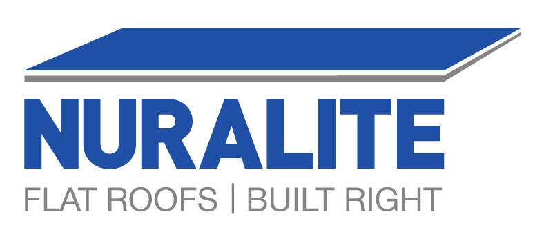 Nuralite Logo.Blue and Grey Logo